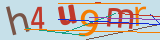 flat-img